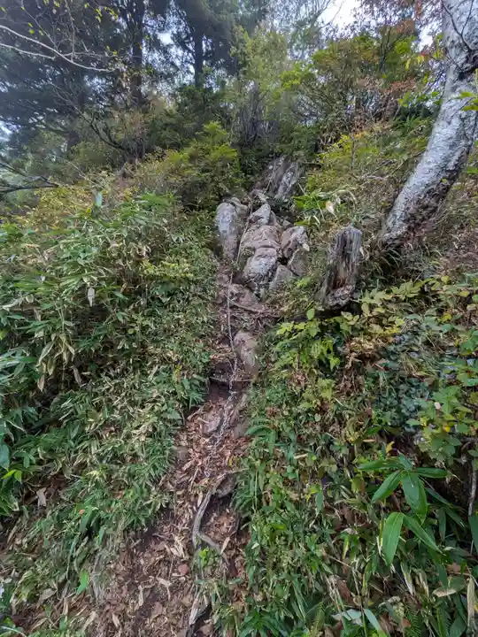 戸隠神社奥社の周辺