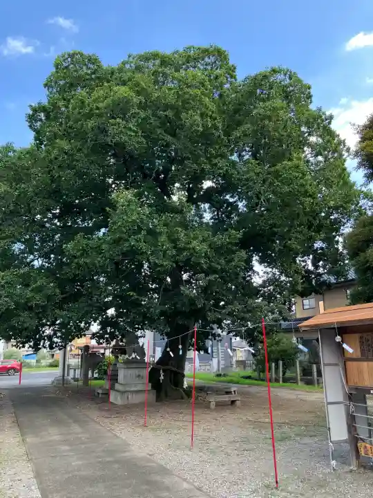 島田八坂神社(栃木県)