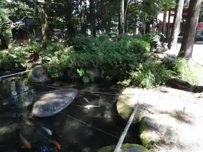 白鳥神社(岐阜県)