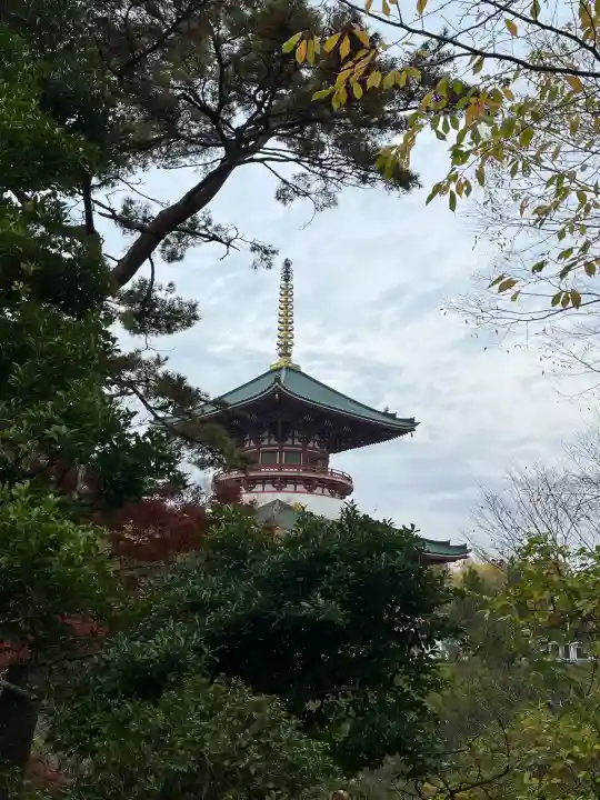 成田山新勝寺(千葉県)