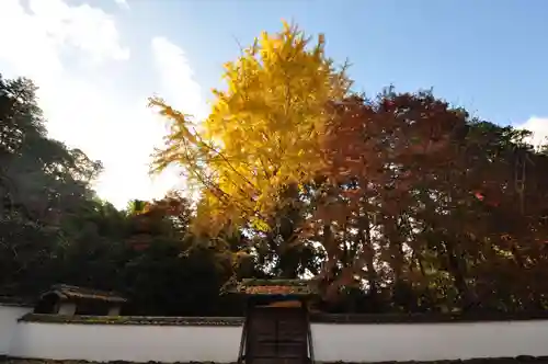 如法寺(愛媛県)