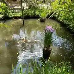 猿投神社の自然