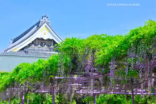 三学院(埼玉県)