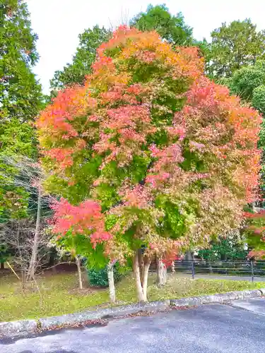 積田神社(三重県)