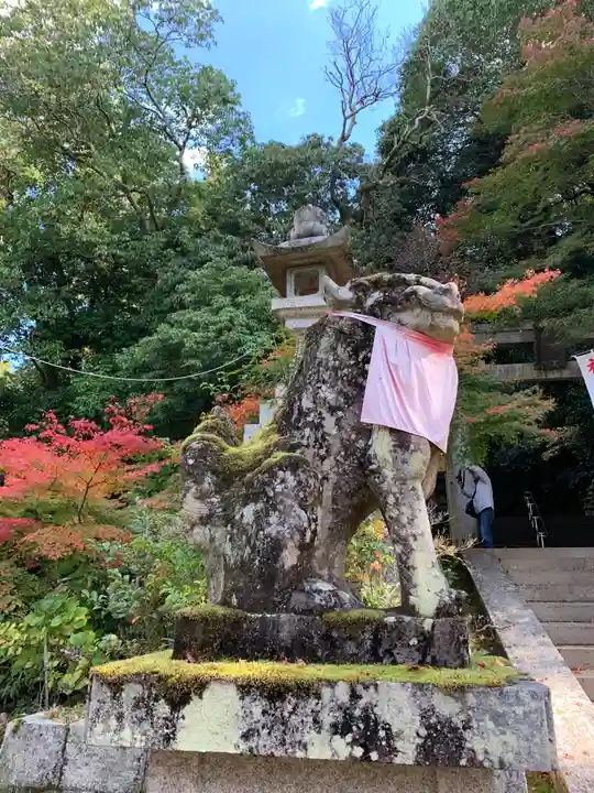 等彌神社の狛犬