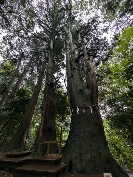 白山比咩神社の{uncategorized: "未分類", other: "その他", undefined: "問題あり", building: "その他建物", grave: "お墓", sacred_gate: "鳥居", guardian: "狛犬", statue: "像", buddha: "仏像", history: "歴史", nature: "自然", garden: "庭園", animal: "動物", pagoda: "塔", temizu: "手水舎", mountain_gate: "山門・神門", sanctuary: "本殿・本堂", subordinate: "末社・摂社", art: "芸術", scenery: "景色", jizo: "地蔵", ema: "絵馬", goshuin: "御朱印", omikuji: "おみくじ", items: "授与品その他", amulet: "お守り", goshuincho: "御朱印帳", eats: "食事", festival: "お祭り", votive_dance: "神楽", shichigosan: "七五三参", wedding: "結婚式", experience: "体験その他", initially: "初詣", around: "周辺", anti_infection: "感染症対策"}