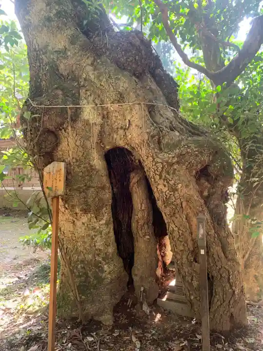 倭文神社(鳥取県)