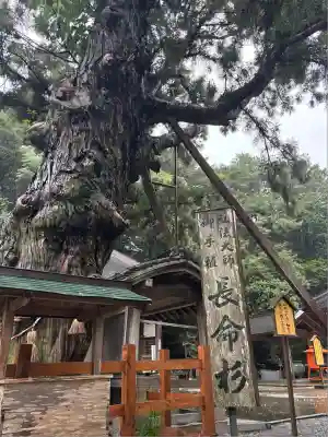 極楽寺(徳島県)