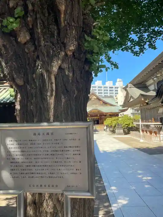 湯島天満宮(東京都)