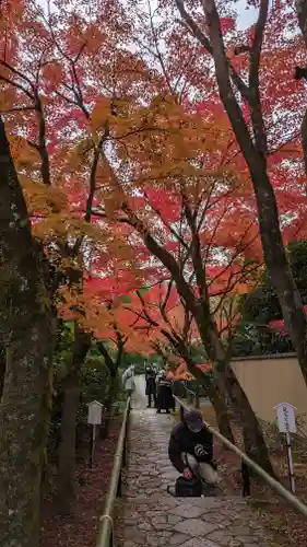 光悦寺(京都府)