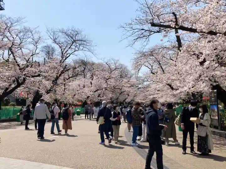 上野大佛の自然