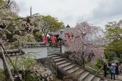 岡寺(龍蓋寺)のその他建物
