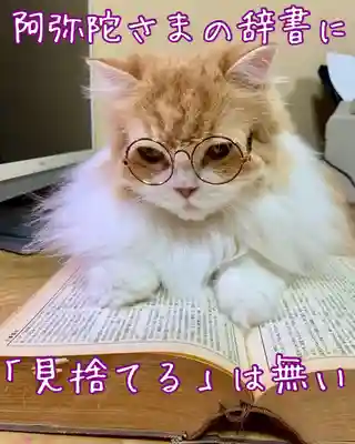 西教寺（下松駅徒歩５分）(山口県)