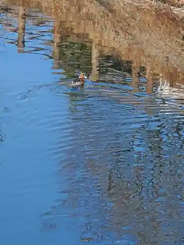 寶常寺(栃木県)