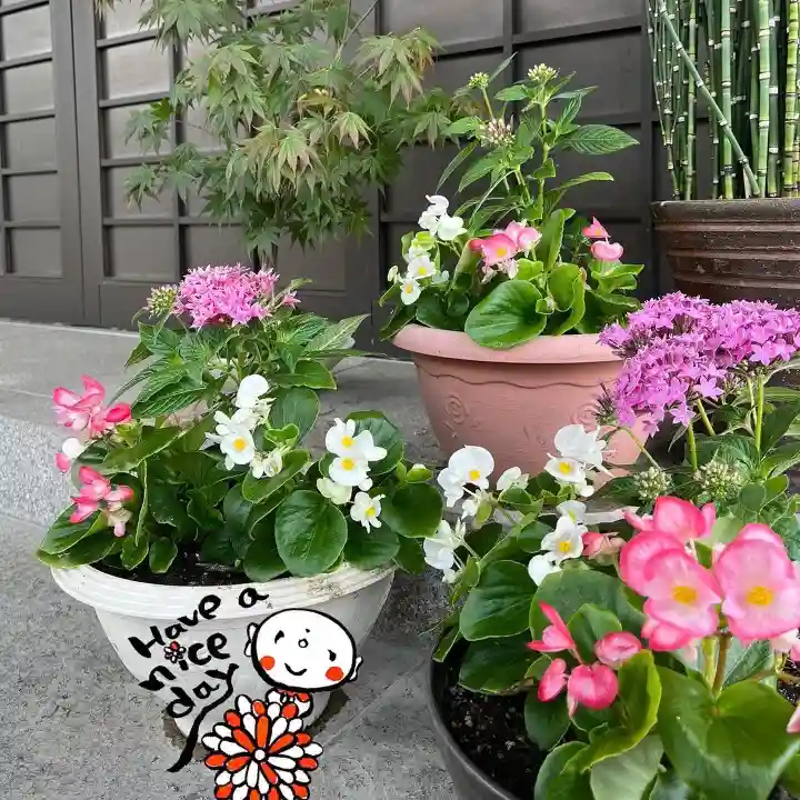 松本山 地福禅寺の自然