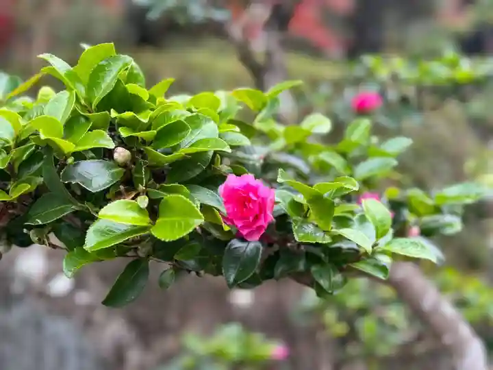 伊勢の国 四天王寺の自然