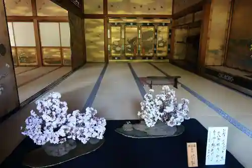 仁和寺(京都府)