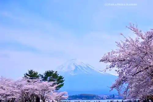 河口浅間神社(山梨県)