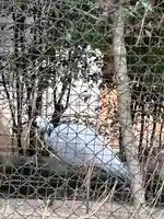 武蔵一宮氷川神社(埼玉県)