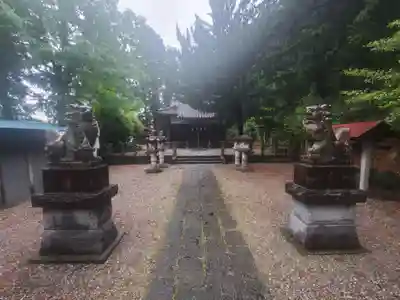 西浦神社の狛犬