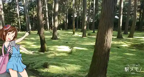 唐招提寺の庭園