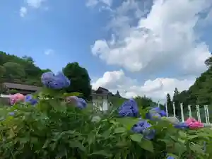 済渡寺の景色(2023年06月23日(金) 22時45分37秒投稿)