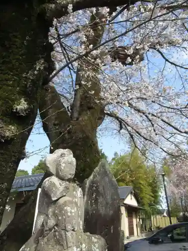 真光寺(千葉県)