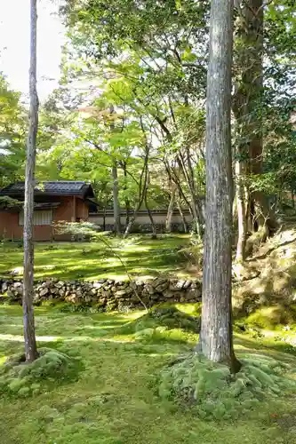 西芳寺(京都府)
