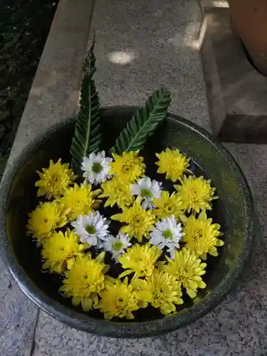 普賢寺の手水舎