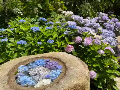 長谷寺(神奈川県)