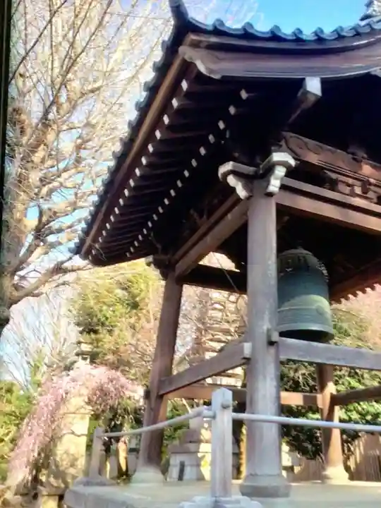 新井薬師(梅照院)(東京都)