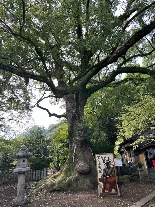 松森天満宮(長崎県)