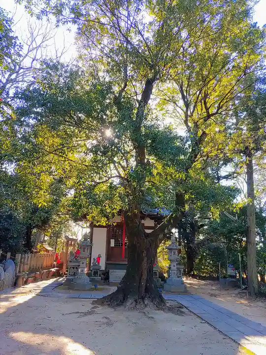 城山稲荷の自然