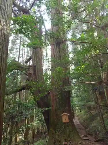 幣立神宮(熊本県)