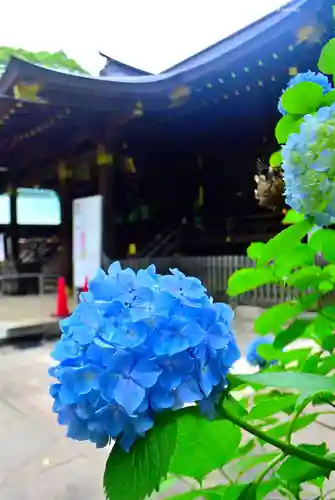 渋谷氷川神社(東京都)