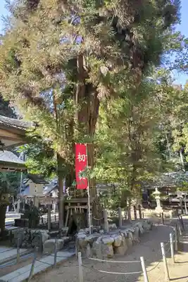 大村神社(三重県)