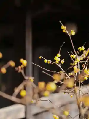 浄土寺(兵庫県)