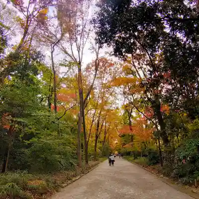 賀茂御祖神社（下鴨神社）のその他建物