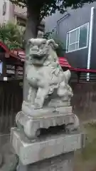 須佐之男神社の狛犬