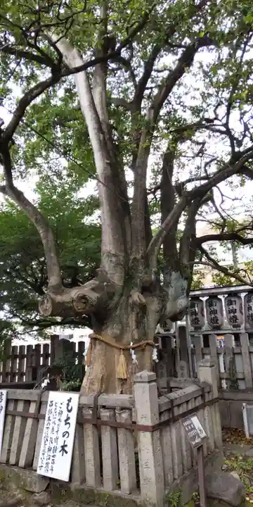 満足稲荷神社(京都府)