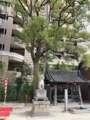 菅生神社の狛犬