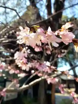 妙法寺(東京都)