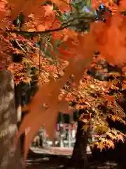 北口本宮冨士浅間神社の自然