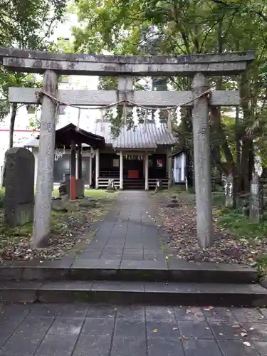 蠣崎神社の鳥居