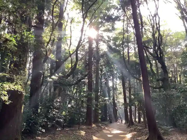 鹿島神宮の自然
