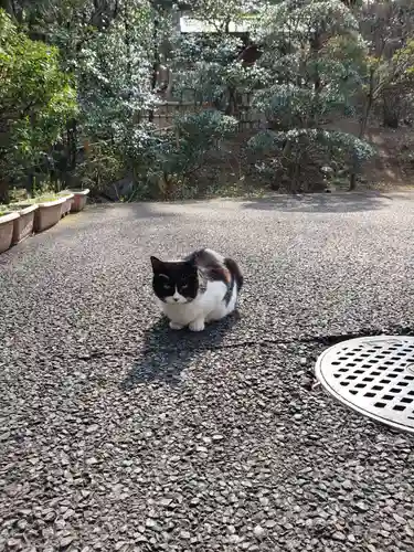 白金氷川神社(東京都)