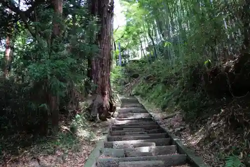 日枝神社の自然