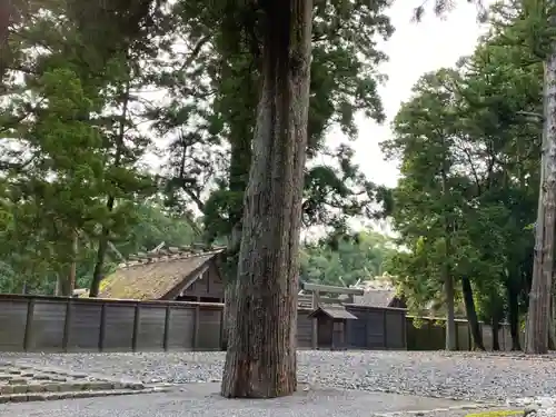 伊勢神宮外宮（豊受大神宮）の自然