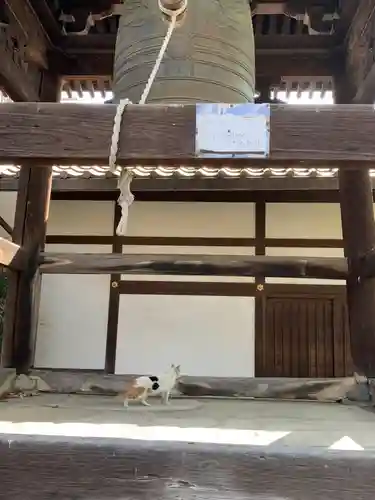 行願寺（革堂）(京都府)