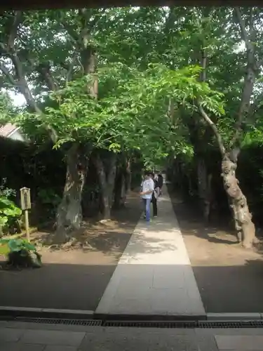 極楽寺（霊鷲山感應院極楽律寺）のその他建物